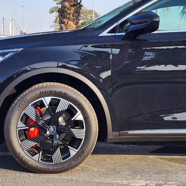 byd sealion 8 15032025 5