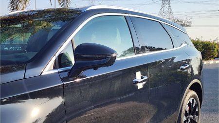 byd sealion 8 15032025 6