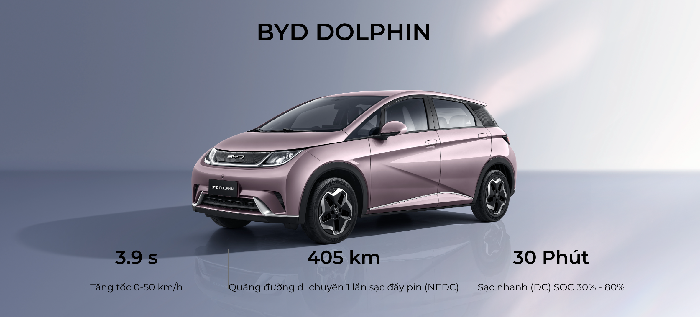 gioi thieu byd dophin bai 20 beuiwwg