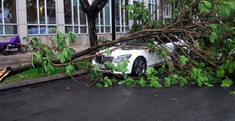 Lưu ý khi sử dụng xe điện BYD vào mùa mưa giúp xe vận hành bền bỉ